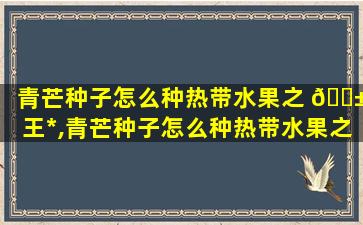 青芒种子怎么种热带水果之 🐱 王*
,青芒种子怎么种热带水果之王 🦅 *
教程